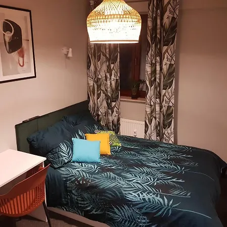 3 Wygodny W Sercu Wroclawia Guest house Wroclaw